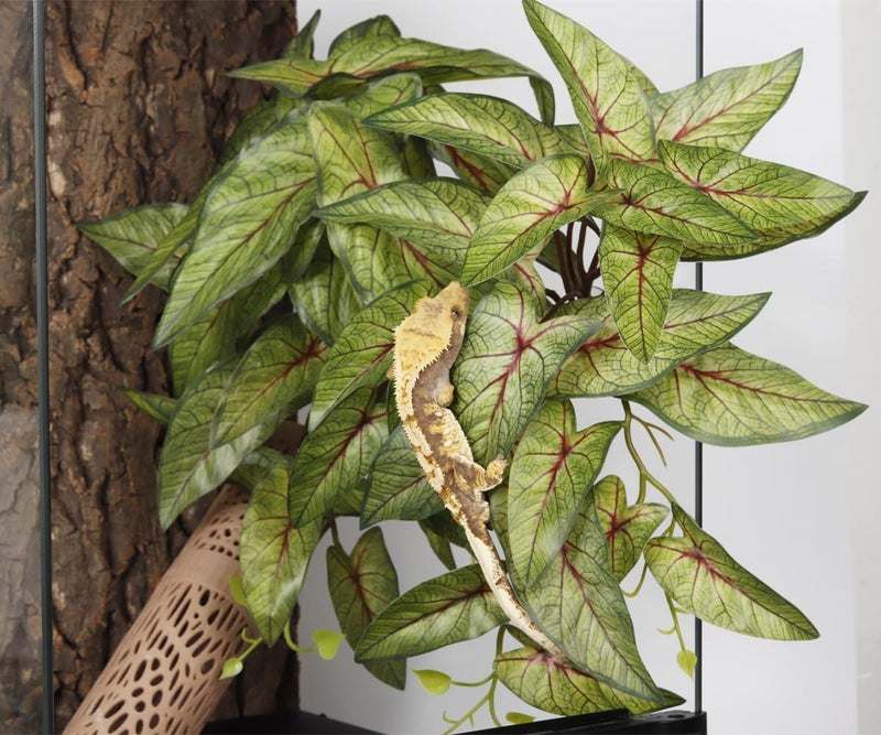 WOLEDOE Reptile Plants for Terrarium, Amphibian Habitat Decor Artificial Hanging Plants with Suction Cup - Fake Arrowhead Plants Green Syngonium Podophyllum - Image 5